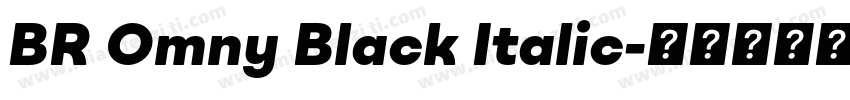 BR Omny Black Italic字体转换
